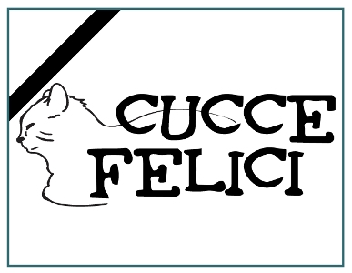 Le Cuccefelici - Il Ricordo del 6 Aprile 2009.
