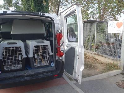 L'arrivo della truppa!