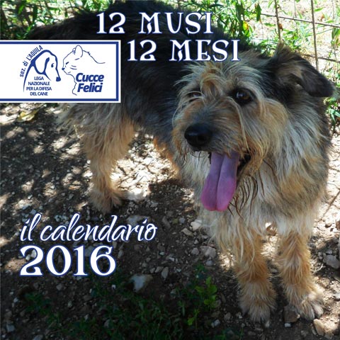 Calendario 2016