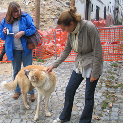 Mirjam, Ria, un cane randagio e le macerie.