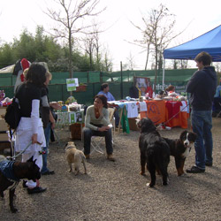 Stand e amici!