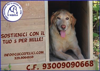 5 per mille alla Lega del Cane di L'Aquila