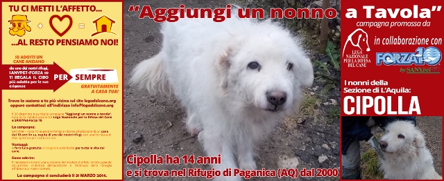 Campagna adozione Nonni 2014: Cipolla