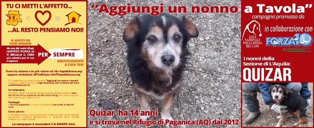 Campagna adozione Nonni 2014: Quizar