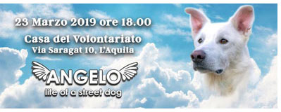 Proiezione Angelo L'Aquila 2019 intestazione