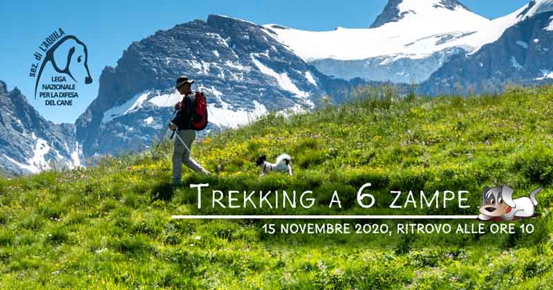 Trekking a 6 zampe