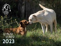 Calendario "12 Musi, 12 Mesi" 2022 - Lega del Cane L'Aquila
