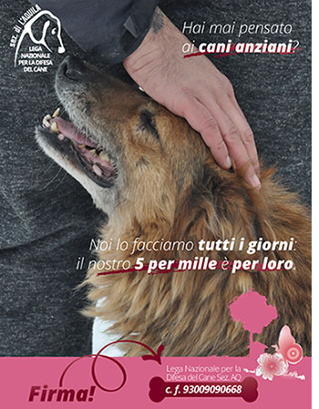 Locandina della Campagna 5 per mille in favore di Lega del Cane - sez. L'Aquila