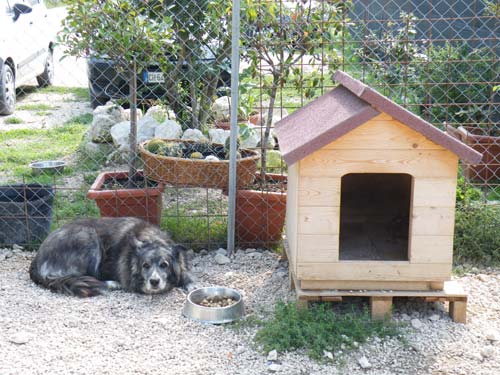 La Sezione di L'Aquila della Lega Nazionale per la Difesa del Cane