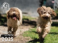Calendario "12 Musi, 12 Mesi" 2025 - Lega del Cane L'Aquila