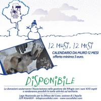 Calendario "12 Musi 12 MEsi"