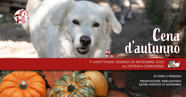 Locandina della Cena d'Autunno 2023 a sostegno del Rifugio Cuccefelici - Lega del Cane L'Aquila