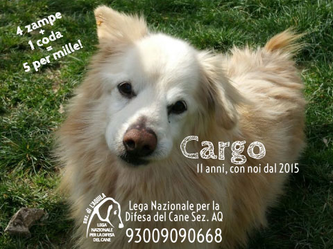 5 per mille alla Lega del Cane di L'Aquila